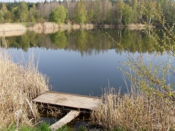 Mistrzostwa Koła 2010
